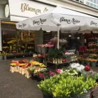 Unternehmen 2 Bild A+A BLUMEN MEISTER GMBH Produktion und Vertrieb von Pflanzen am Frankfurt Am Main HE