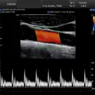 Unternehmen 1 Bild AKADEMIE FÜR KARDIOVASKULÄREN ULTRASCHALL GBR Seminare, Seminarveranstalter am Frankfurt Am Main HE