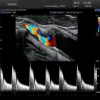 Unternehmen 2 Bild AKADEMIE FÜR KARDIOVASKULÄREN ULTRASCHALL GBR Seminare, Seminarveranstalter am Frankfurt Am Main HE
