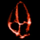 Unternehmen 6 Bild AKADEMIE FÜR KARDIOVASKULÄREN ULTRASCHALL GBR Seminare, Seminarveranstalter am Frankfurt Am Main HE