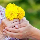 Unternehmen 1 Bild AKTIV PFLEGE 24 GMBH Soziales & Gesellschaft am Schönefeld BB