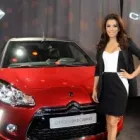 Unternehmen 5 Bild ALPHA POOL GMBH Werbung am Berlin BE