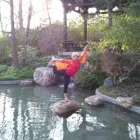 Unternehmen 3 Bild ANCA-YOGA MÜNCHEN Yogaschulen, Gymnastikschulen am München BY