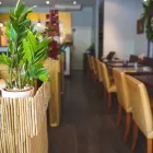 Unternehmen 17 Bild ANH TIEN VIETNAMESE CUISINE Restaurant & Café am München BY