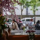 Unternehmen 35 Bild ANH TIEN VIETNAMESE CUISINE Restaurant & Café am München BY