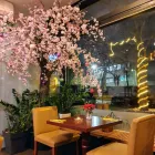 Unternehmen 74 Bild ANH TIEN VIETNAMESE CUISINE Restaurant & Café am München BY