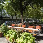 Unternehmen 75 Bild ANH TIEN VIETNAMESE CUISINE Restaurant & Café am München BY