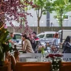 Unternehmen 102 Bild ANH TIEN VIETNAMESE CUISINE Restaurant & Café am München BY