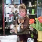 Unternehmen 1 Bild ANNENALLEE 1 HUNDE UND KATZENSALON BLACK & WHITE DOGS COIFFEUR & MORE Zoohandlung am Berlin BE