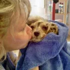 Unternehmen 9 Bild ANNENALLEE 1 HUNDE UND KATZENSALON BLACK & WHITE DOGS COIFFEUR & MORE Zoohandlung am Berlin BE