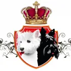 Unternehmen 2 Bild ANNENALLEE 1 HUNDE UND KATZENSALON BLACK & WHITE DOGS COIFFEUR & MORE Zoohandlung am Berlin BE