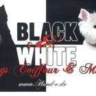 Unternehmen 3 Bild ANNENALLEE 1 HUNDE UND KATZENSALON BLACK & WHITE DOGS COIFFEUR & MORE Zoohandlung am Berlin BE