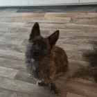 Unternehmen 6 Bild ATELIER KAIDOGS Zoohandlung am Wülfrath NW