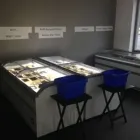 Unternehmen 3 Bild BARF-KÜCHE NORD Zoohandlungen am Leipzig SN