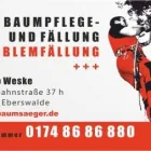 Unternehmen 1 Bild BAUMSÄGER Gartenpflege, Baumpflege am Eberswalde BB