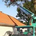 Unternehmen 1 Bild BAUMSERVICE WITTKAMP Service & Dienstleistung am Lengerich NW