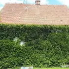 Unternehmen 6 Bild BAUSACHVERSTÄNDIGER DIPL. ING. SCHMALFUß - BAUGUTACHTER AUGSBURG - HAUSKAUFBERATUNG - BEWEISSICHERUN Umweltberatung, Energieberatung am Augsburg BY