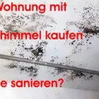 Unternehmen 55 Bild BAUSACHVERSTÄNDIGER DIPL. ING. SCHMALFUß - BAUGUTACHTER AUGSBURG - HAUSKAUFBERATUNG - BEWEISSICHERUN Umweltberatung, Energieberatung am Augsburg BY