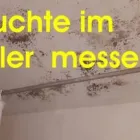 Unternehmen 37 Bild BAUSACHVERSTÄNDIGER DIPL. ING. SCHMALFUß - BAUGUTACHTER AUGSBURG - HAUSKAUFBERATUNG BEWEISSICHERUNG Umweltberatung, Energieberatung am Augsburg BY