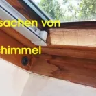 Unternehmen 42 Bild BAUSACHVERSTÄNDIGER DIPL. ING. SCHMALFUß - BAUGUTACHTER AUGSBURG - HAUSKAUFBERATUNG BEWEISSICHERUNG Umweltberatung, Energieberatung am Augsburg BY