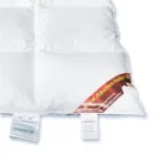 Unternehmen 3 Bild BETTWAREN PROMAX ONLINE SHOP DAUNEN-FEDERN Werbung am Augsburg BY