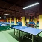 Unternehmen 8 Bild BILLARDTREFFPUNKT POOL, BILLARD, TISCHTENNIS, DARTS, KICKER, INDOOR GOLF, SCHIEßKINO IN LEIPZIG Unterhaltung am Leipzig SN