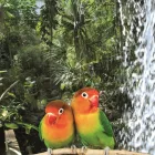 Unternehmen 3 Bild BIOSPHÄRE POTSDAM Zoologische Botanische Gärten, Tierparks, Wildparks am Potsdam BB