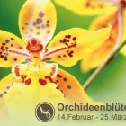 Unternehmen 4 Bild BIOSPHÄRE POTSDAM Zoologische Botanische Gärten, Tierparks, Wildparks am Potsdam BB