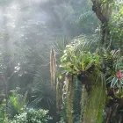 Unternehmen 5 Bild BIOSPHÄRE POTSDAM Zoologische Botanische Gärten, Tierparks, Wildparks am Potsdam BB