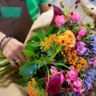 Unternehmen 1 Bild BLUME 2000 BERLIN WILMERSDORFER STR. Produktion und Vertrieb von Pflanzen am Berlin BE