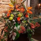 Unternehmen 12 Bild BLUMEN CALISKAN GBR Produktion und Vertrieb von Pflanzen am Frankfurt Am Main HE