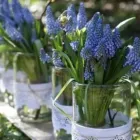 Unternehmen 9 Bild BLUMEN DORNRÖSCHEN, AM DORNBUSCH VLATKA SCHÄFER VLATKA SCHÄFER Produktion und Vertrieb von Pflanzen am Frankfurt HE