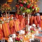 Unternehmen 10 Bild BLUMEN DORNRÖSCHEN, AM DORNBUSCH VLATKA SCHÄFER VLATKA SCHÄFER Produktion und Vertrieb von Pflanzen am Frankfurt HE