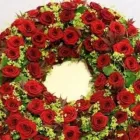 Unternehmen 5 Bild BLUMEN DORNRÖSCHEN, AM DORNBUSCH VLATKA SCHÄFER Produktion und Vertrieb von Pflanzen am Frankfurt HE