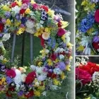 Unternehmen 9 Bild BLUMEN DORNRÖSCHEN, AM DORNBUSCH VLATKA SCHÄFER Produktion und Vertrieb von Pflanzen am Frankfurt HE