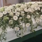 Unternehmen 10 Bild BLUMEN DORNRÖSCHEN, AM DORNBUSCH VLATKA SCHÄFER Produktion und Vertrieb von Pflanzen am Frankfurt HE