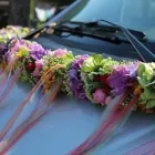 Unternehmen 20 Bild BLUMEN DORNRÖSCHEN, AM DORNBUSCH VLATKA SCHÄFER Produktion und Vertrieb von Pflanzen am Frankfurt HE