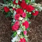 Unternehmen 22 Bild BLUMEN DORNRÖSCHEN, AM DORNBUSCH VLATKA SCHÄFER Produktion und Vertrieb von Pflanzen am Frankfurt HE