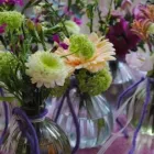 Unternehmen 7 Bild BLUMEN HAEDI-FLOR MEISTERBETRIEB LEIPZIG Produktion und Vertrieb von Pflanzen am Leipzig SN