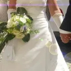 Unternehmen 9 Bild BLUMEN HAEDI-FLOR MEISTERBETRIEB LEIPZIG Produktion und Vertrieb von Pflanzen am Leipzig SN