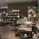 Unternehmen 4 Bild BLUMEN INTERFLEUR FLORISTIK & WOHNACCESSOIRES Wohnaccessoires Einzelhandel am Wallenhorst NI