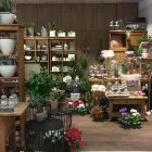 Unternehmen 7 Bild BLUMEN INTERFLEUR FLORISTIK & WOHNACCESSOIRES Wohnaccessoires Einzelhandel am Wallenhorst NI