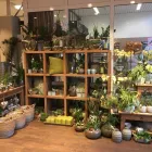 Unternehmen 8 Bild BLUMEN INTERFLEUR FLORISTIK & WOHNACCESSOIRES Wohnaccessoires Einzelhandel am Wallenhorst NI