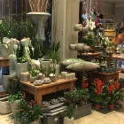 Unternehmen 10 Bild BLUMEN INTERFLEUR FLORISTIK & WOHNACCESSOIRES Wohnaccessoires Einzelhandel am Wallenhorst NI