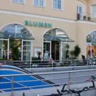 Unternehmen 1 Bild BLUMEN MAAß Produktion und Vertrieb von Pflanzen am München BY