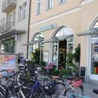 Unternehmen 2 Bild BLUMEN MAAß Produktion und Vertrieb von Pflanzen am München BY