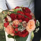 Unternehmen 1 Bild BLUMENFRAU BODENSEE - ALANA´S HOCHZEITS & TRENDFLORISTIK Verleihunternehmen, Vermietungsunternehmen, Vermittlungsunternehmen am Uhldingen-Mühlhofen BW