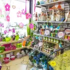 Unternehmen 4 Bild BLUMENHAUS HARBAUM E.K. INH. GREGOR HARBAUM Wohnaccessoires Einzelhandel am Münster NW
