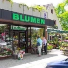 Unternehmen 8 Bild BLUMENHAUS HARBAUM E.K. INH. GREGOR HARBAUM Wohnaccessoires Einzelhandel am Münster NW