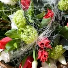 Unternehmen 1 Bild BLUMENLADEN MAIGLÖCKCHEN Produktion und Vertrieb von Pflanzen am Berlin BE